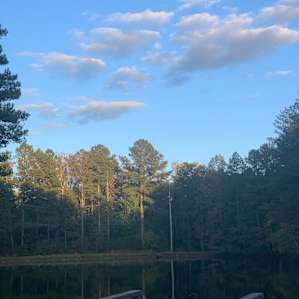 Tent Camping on the Lake