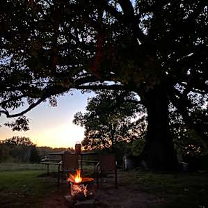 Fire at sunset