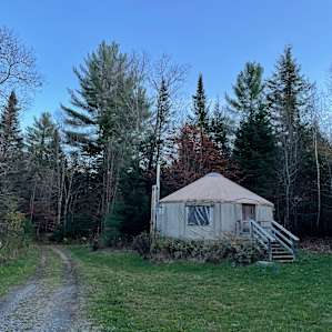 Yurt in the forest