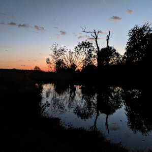 Sunset over the pond.