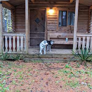 WALKAbOUT Creek Cabins