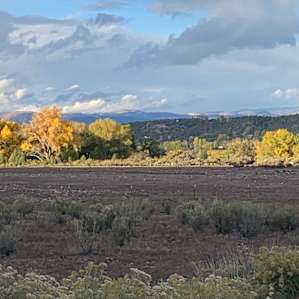 Quiet, open space on vintage ranch.