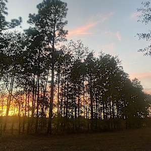 Gorgeous views
