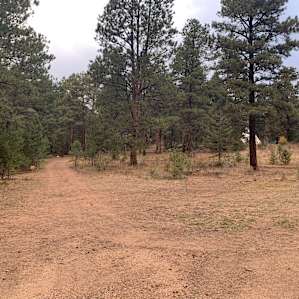You can see the front of our white van in the left of the pic. This shows the main road going up to other sites, as well as the small open area out front.