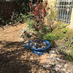 More garden