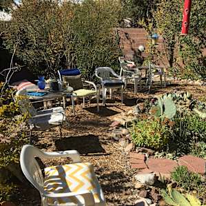Front yard garden. Full of herb plants. So healing and medicinal