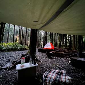 Olympic Rainforest retreat camp 4b