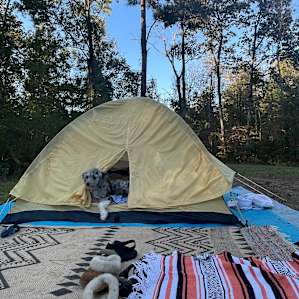 Argo’s Park & Trails