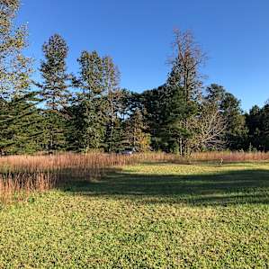 Foothills Farm Primitive Camping