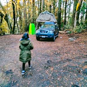 Forest Camping near Mt Madonna Park