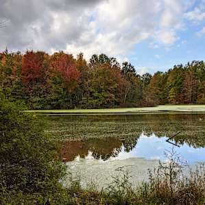Lake and Forest Camping