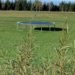 Avonmore Oasis Camping