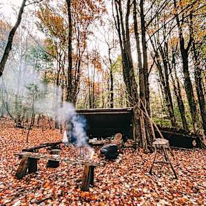 Tent camping Sanctuary in the Woods