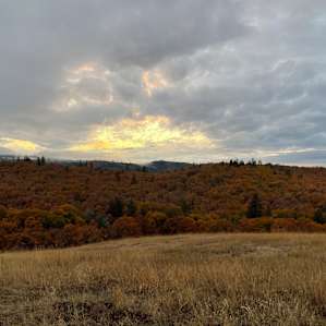 Columbia Gorge Yurt