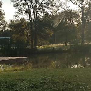 Countryside Peace near Brazos Bend