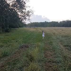 Countryside Peace near Brazos Bend