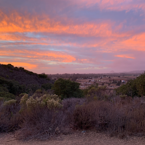 The view at sunset