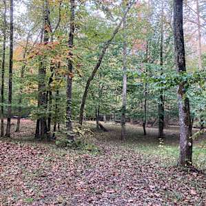 Rock Creek Wooded Campground