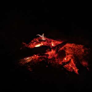 Primitive Farms Camping