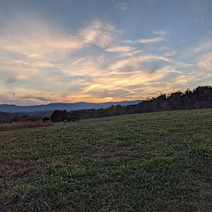 Primitive Farms Camping