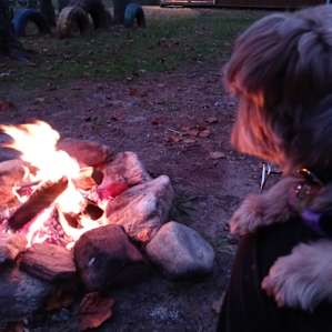 Trout Creek Campground Car Camping