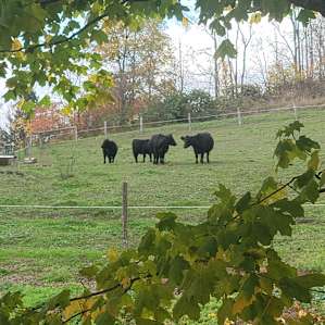 Pleasant Valley Farm Camp