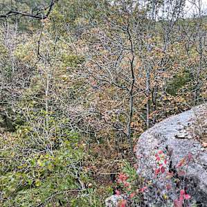 Ramble Ridge