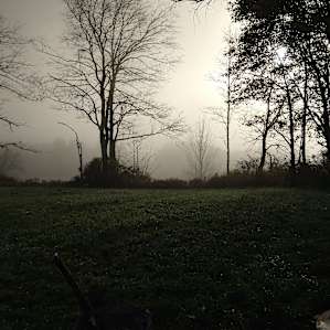 Wahl Farm Camping