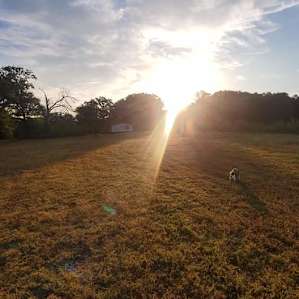 Lake Tawakoni Farm