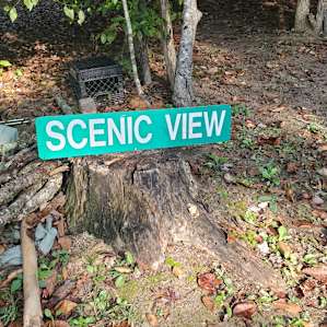 Scenic View Campsite