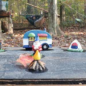 Scenic View Campsite