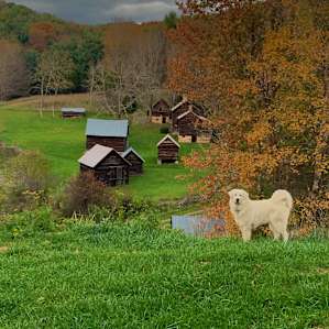 From the front porch overlooking the Pitsenbarger homestead
