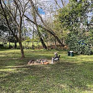 Peaceful (and level!) spot in the woods. New latrine is behind the trash cans