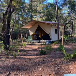 The Glamper at Bay Forest