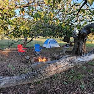 Tent Camping under the stars
