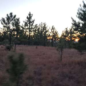 Black Hills Glamping
