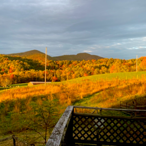 View from the front porch
