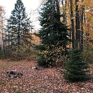 Bonfire pit and front yard. Beautiful in fall!