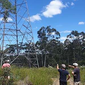 Bush walk