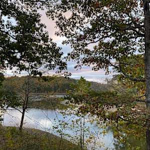 View from site