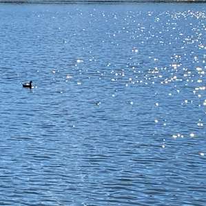 Crystal clear lake