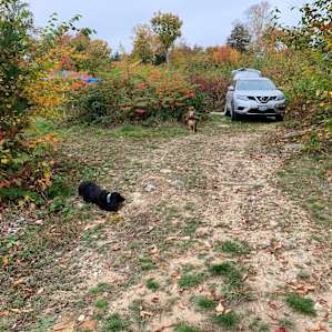 Additional view of site 4
