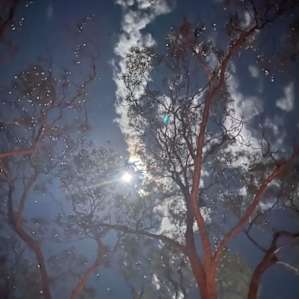 Honeyeater Bush Camp