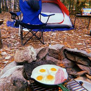 Forest camp