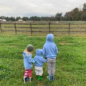 Bellview Farm