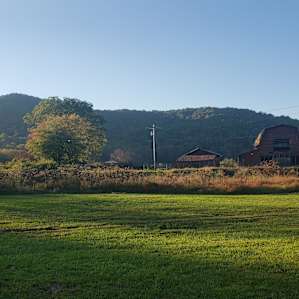 View from site 4