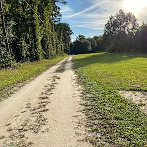 The road in