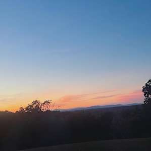 Gorgeous Stay Farm/Animal Sanctuary