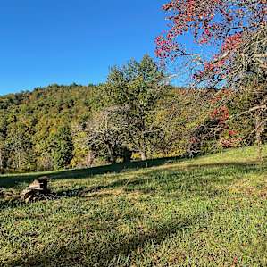 Mtn. View Camper + Tent Sites
