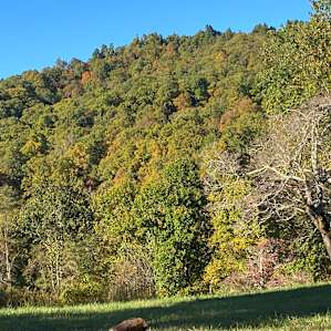 Mtn. View Camper + Tent Sites